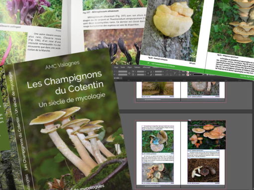 Livre Association Mycologique du Cotentin